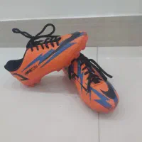 کفش|کیف، کفش، کمربند|فارسان, |دیوار