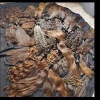 مو تار نازک ابریشمی