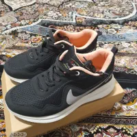 کتونی|کیف، کفش، کمربند|فردیس, قریشی|دیوار