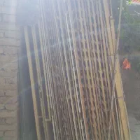 داربست کِرم میلورم|لوازم جانبی حیوانات|قوچان, |دیوار