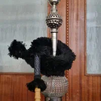 تعدادی قلیون|کلکسیون و سرگرمی|قزوین, |دیوار