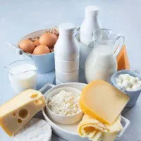 بازار یاب