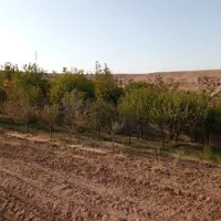 500 متر زمین باغ و ویلایی منطقه نارنجستان|فروش زمین و ملک کلنگی|ملکآباد, |دیوار