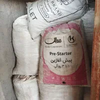 کود کفتر فروشی