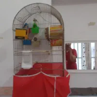 ۱۰عددفنچ با لوازم