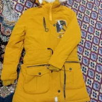 پالتوفروشی