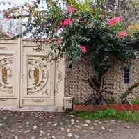 زمین بر جاده محلی دو‌نبش
