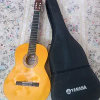 ساز گیتار نو