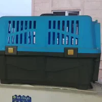 درحد نو ظاهراً معلومه