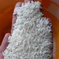 برنج طارم شیروان درجه یک|خوردنی و آشامیدنی|ایلام, |دیوار