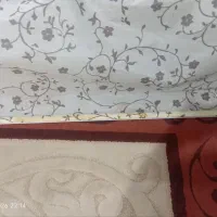 دوعدد پرده زبرا
