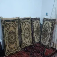 ۲ جفت پشتی