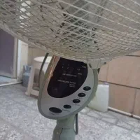پنکه زمینی