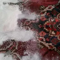 قالیشویی پدیده