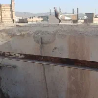کفتر|پرنده|تربت‌حیدریه, حسنی بالا|دیوار
