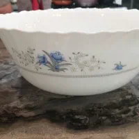 کاسه سوپخوری