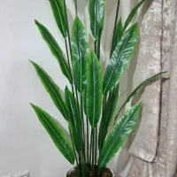 درختچه های مصنوعی|گل مصنوعی|شهریار, شهرک بهاران (ویره)|دیوار