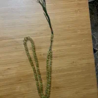 تسبیح شاه مقصود و کشکول