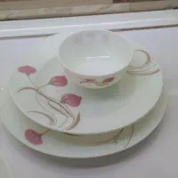 سرویس ارکوپال فرانسه ۱۲نفره