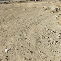 زمین 150سردونبش