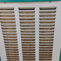 کولر آبی نو|کولر آبی|صدرا-فارس, فاز ۱|دیوار