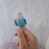 مرغ عشق|پرنده|شازند, |دیوار