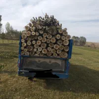 خریدفروش چوب