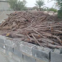 خرید انواع چوب با بالاترین قیمت و تسویه آنی