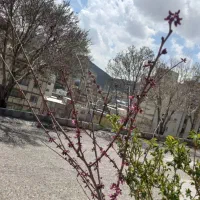 اجازه منزل مسکونی