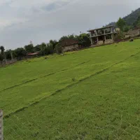 250 متر زمین مسکونی