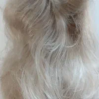 کلاه گیس بلوند و کلیپس مویی|آرایشی، بهداشتی، درمانی|تهران, باغ فیض|دیوار