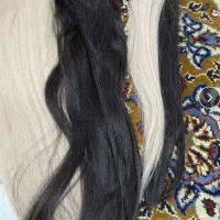 مو‌مشکی با بلوند|آرایشگاه و سالن‌های زیبایی|ساری, |دیوار