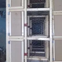 قفس جوجه گیری سوسنگرد|لوازم جانبی حیوانات|سوسنگرد, |دیوار