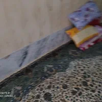 اجاره روزانه/هفتگی/ماهانه آپارتمان ۴۰ متری|اجارهٔ کوتاه‌مدت آپارتمان و سوئیت|رضوانشهر, |دیوار