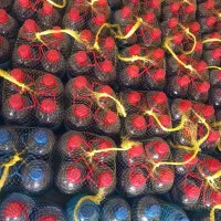 مواد شوینده شیشه شوی