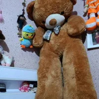 عروسک خرس سه متری|اسباب‌بازی بچه|رودبنه, |دیوار