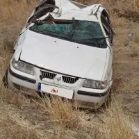 سمند تصادفی