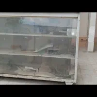 ویترین مغازه