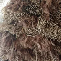 جاروخودبافت|لوازم نظافت|آشخانه, |دیوار