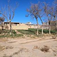 ۵۰۰ متر زمین روستای سعیدآباد