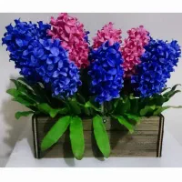 قبول سفارش سنبل به صورت تک و عمده