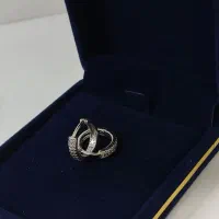 گوشواره نقره حلقه ای نگین دار خرید قسطی اسنپ پی
