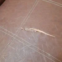 مبل چرم ۷ نفره|مبلمان خانگی و میز عسلی|لنگرود, |دیوار