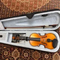 ویالون کاملا نو|ویولن|کرج, دهقان ویلا|دیوار