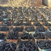 ذغال لیمو جهرم و به