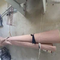 موکت دسته دوم ۱۲ پتری