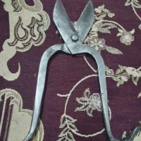 قیچی حلب بر|ابزارآلات|گنبد کاووس, |دیوار
