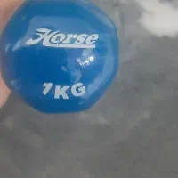 دمبل یک کیلویی مارک horse