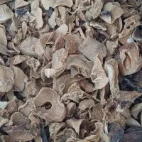 موسیر درجه یک و دو همدان|خوردنی و آشامیدنی|قم, باغ شریفی|دیوار