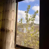 خانه تمیز و زیبا